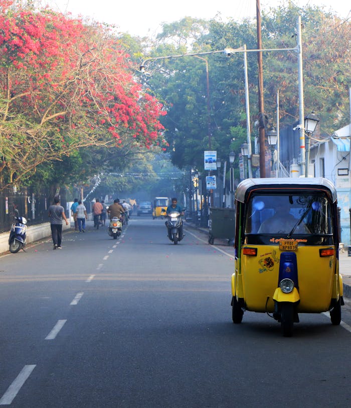 services-03 Colorful street in India with auto rickshaws, trees, and pedestrians. Lively atmosphere.